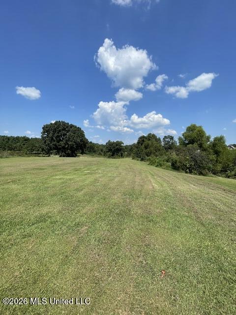 95 Squirrel Hollow Road Holly Springs, MS 38635 - Photo 28 of 31 IMG_5695