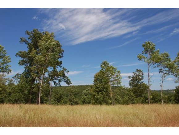 Lot 1 Lost Ridge Road Ridgedale, MO 65739 - Photo 1 of 1 Primary Photo
