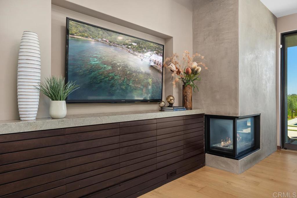 1159 Larksong Lane Encinitas, CA 92024 - Photo 12 of 68 a view of living room