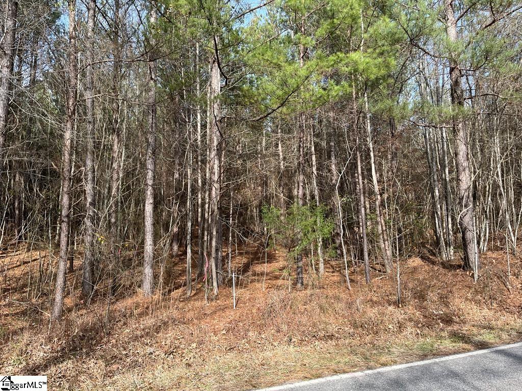 0 Fews Bridge Road Taylors, SC 29687 - Photo 1 of 10