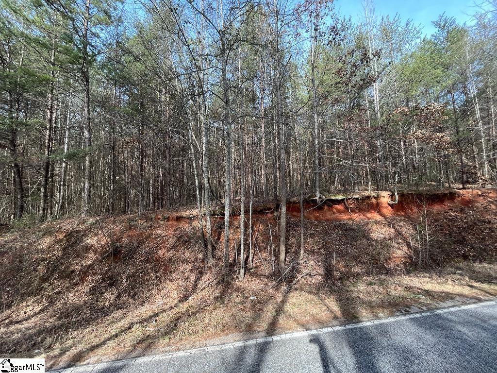 0 Fews Bridge Road Taylors, SC 29687 - Photo 2 of 10