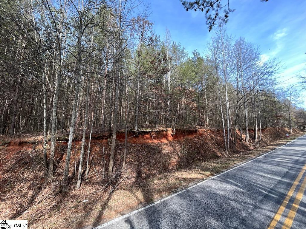 0 Fews Bridge Road Taylors, SC 29687 - Photo 3 of 10