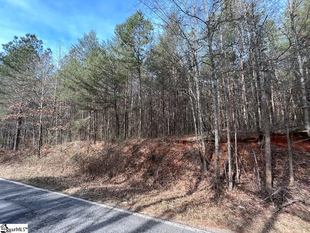0 Fews Bridge Road Taylors, SC 29687 - Photo 4 of 10
