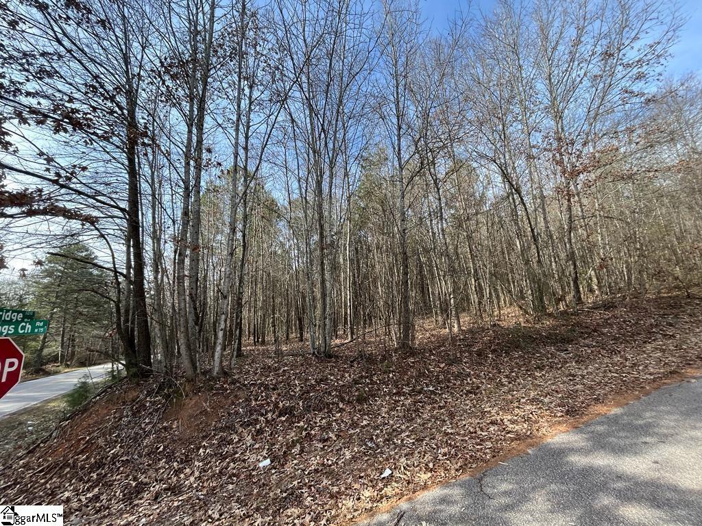 0 Fews Bridge Road Taylors, SC 29687 - Photo 5 of 10