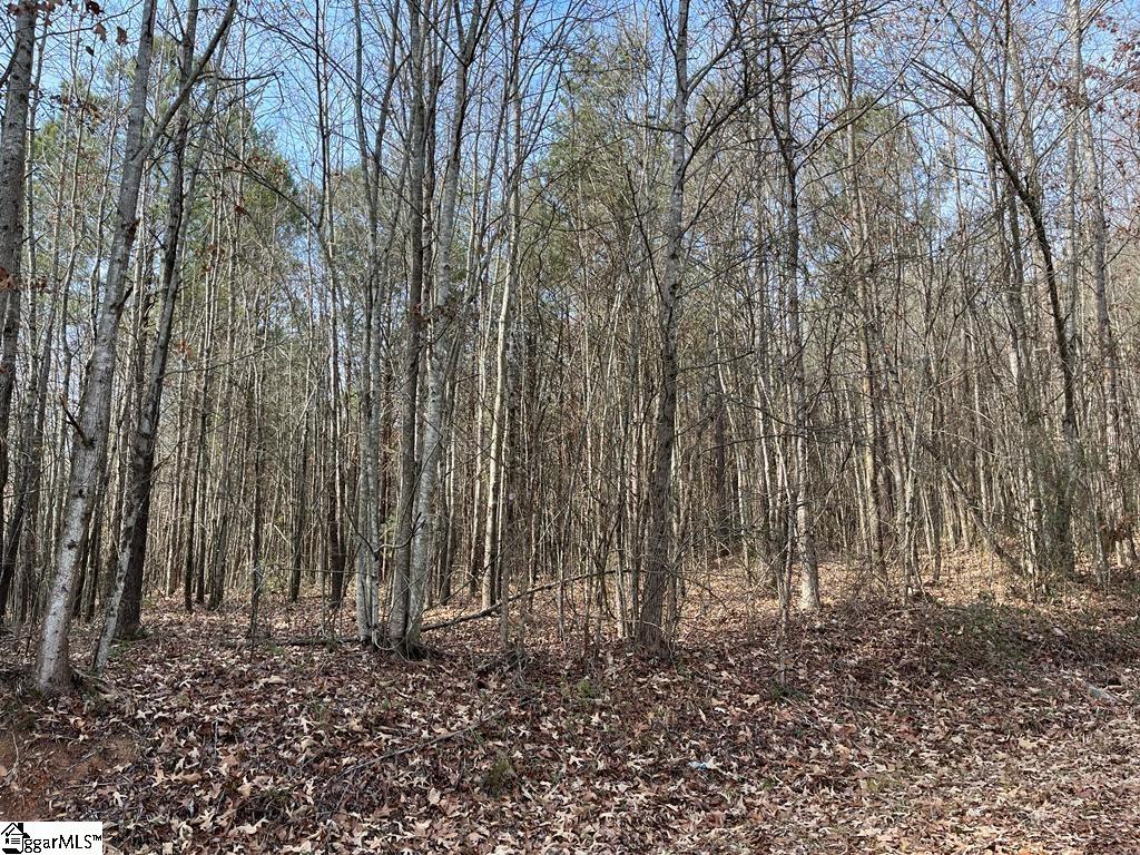 0 Fews Bridge Road Taylors, SC 29687 - Photo 6 of 10