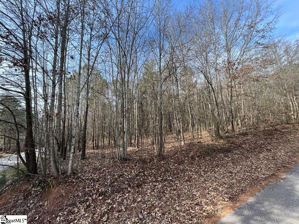 0 Fews Bridge Road Taylors, SC 29687 - Photo 7 of 10