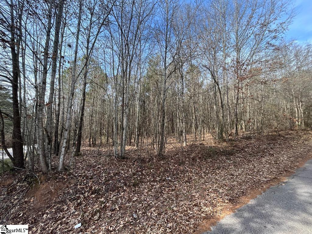 0 Fews Bridge Road Taylors, SC 29687 - Photo 8 of 10