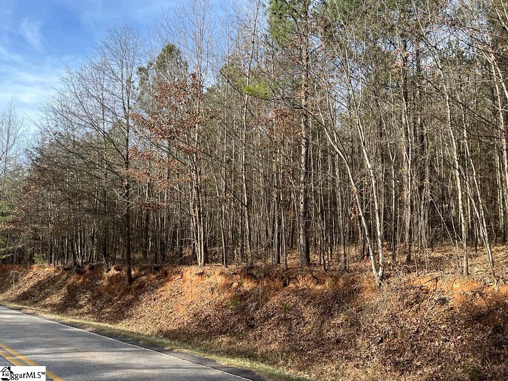 0 Fews Bridge Road Taylors, SC 29687 - Photo 9 of 10