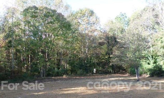 4199 Slanting Bridge Road Sherrills Ford, NC 28673 - Photo 4 of 15 Gallery Image 4