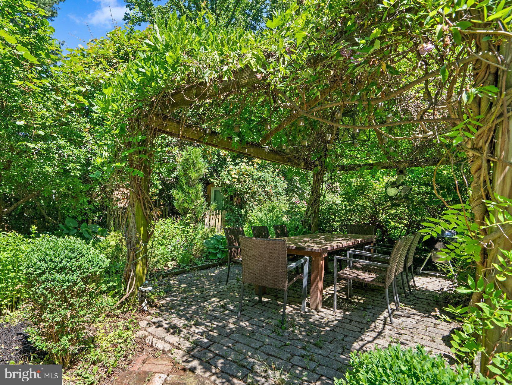 1102 Edgevale Road Silver Spring, MD 20910 - Photo 4 of 47 Pergola with jasmine, wisteria and clematis