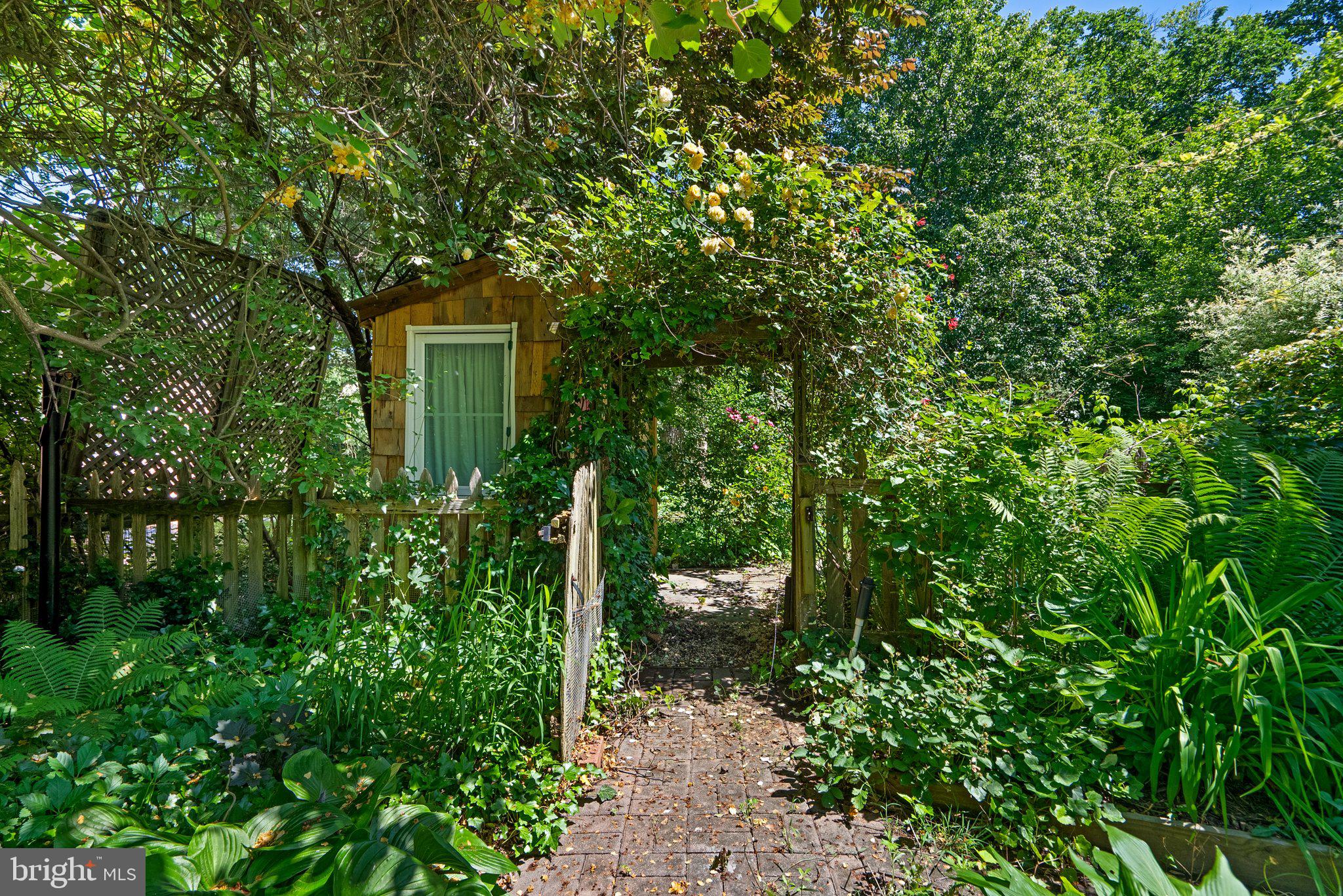 1102 Edgevale Road Silver Spring, MD 20910 - Photo 43 of 47 Pathway leading to outdoor shower