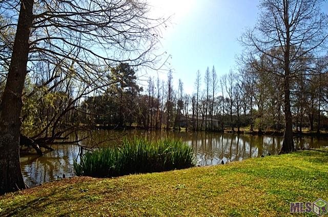 10522 George Lambert Road St. Amant, LA 70774 - Photo 28 of 31 Gallery Image 28