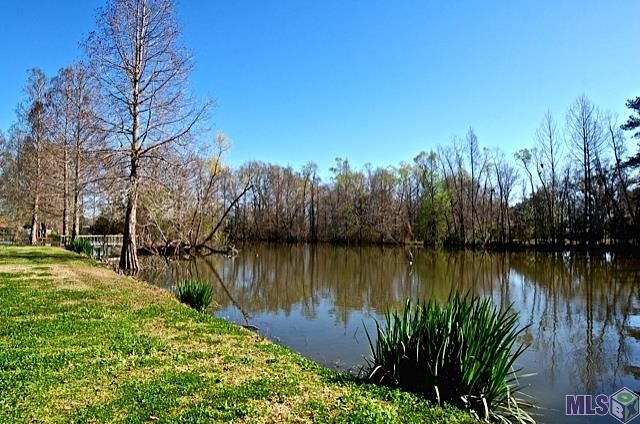 10522 George Lambert Road St. Amant, LA 70774 - Photo 29 of 31 Gallery Image 29