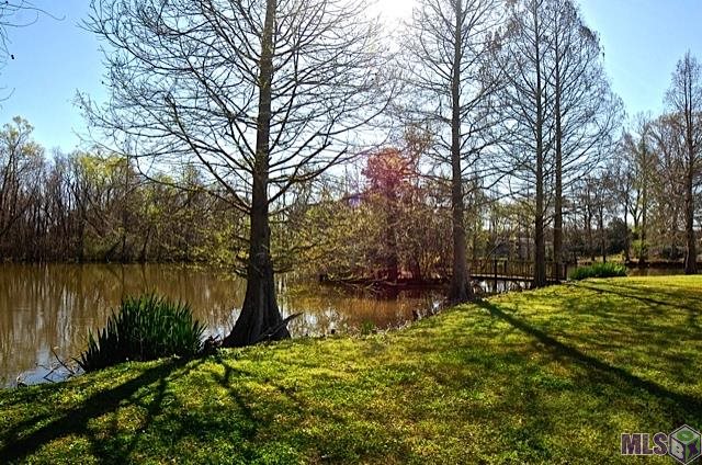 10522 George Lambert Road St. Amant, LA 70774 - Photo 30 of 31 Gallery Image 30
