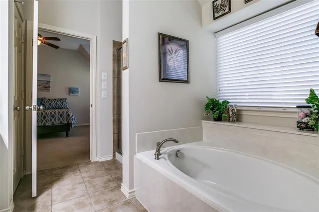 a bathroom with a tub a potted plant and a shower
