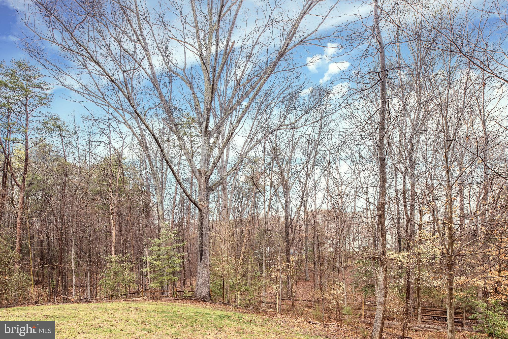 92 Quarry Road Stafford, VA 22554 - Photo 41 of 52 View of property