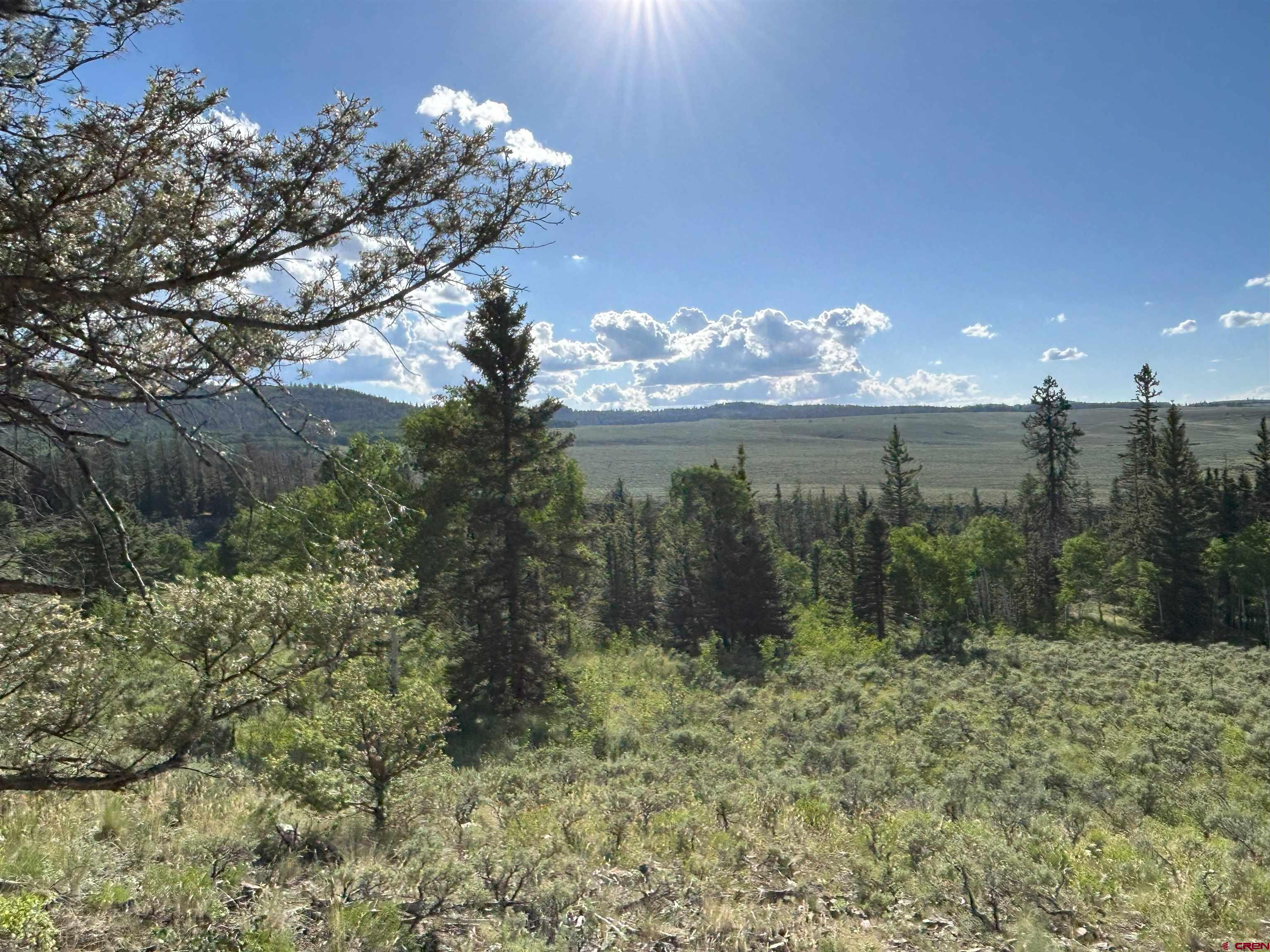 Tbd Tbd Armitage Springs Road Powderhorn, CO 81243 - Photo 4 of 7 Gallery Image 4