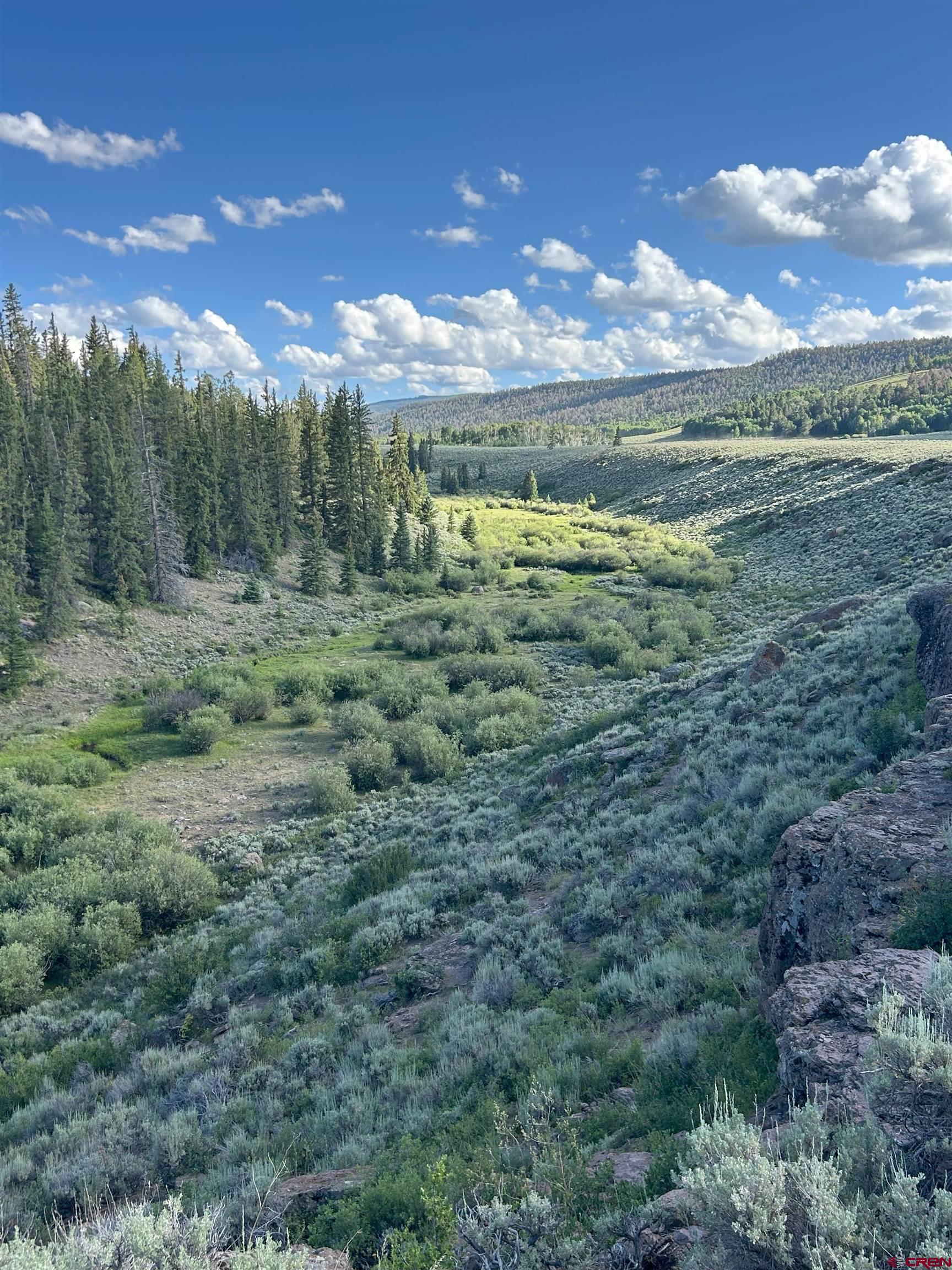 Tbd Tbd Armitage Springs Road Powderhorn, CO 81243 - Photo 5 of 7 Gallery Image 5