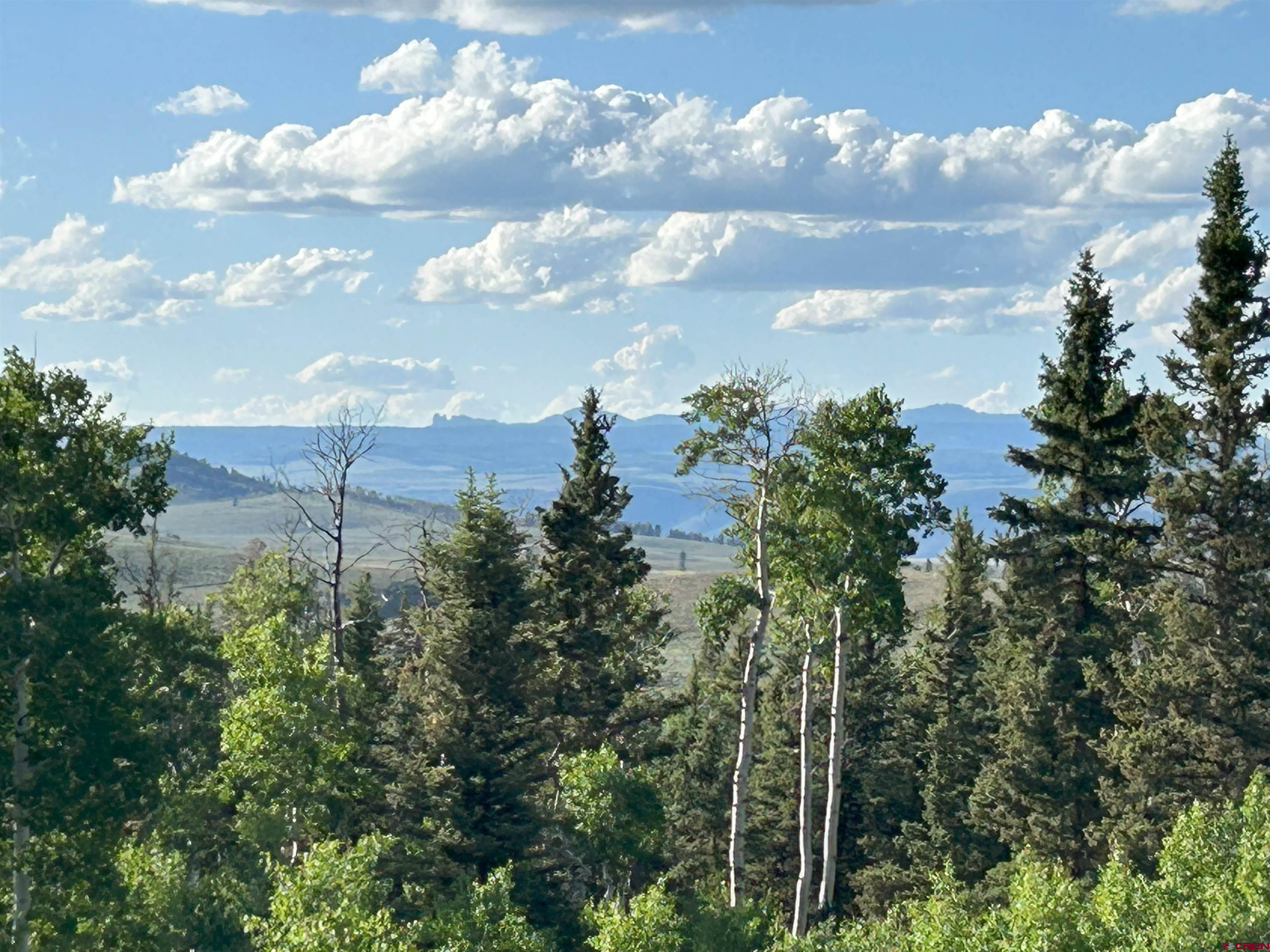 Tbd Tbd Armitage Springs Road Powderhorn, CO 81243 - Photo 6 of 7 Gallery Image 6