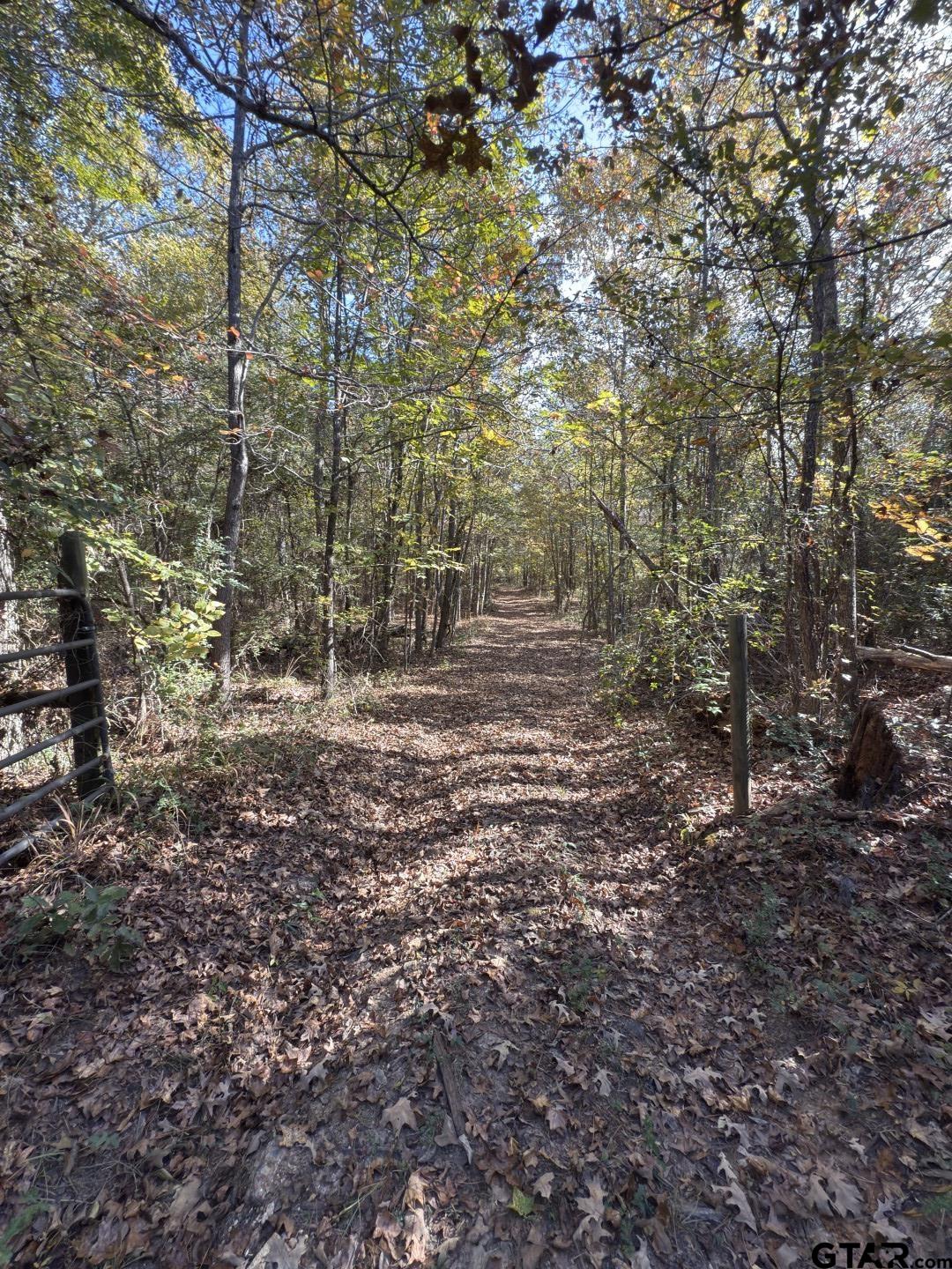 Tbd-a Boggy Road Waskom, TX 75692 - Photo 25 of 28 Gallery Image 25