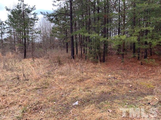 0 Country Club Road Roxboro, NC 27574 - Photo 3 of 5 a view of a forest with trees in the background