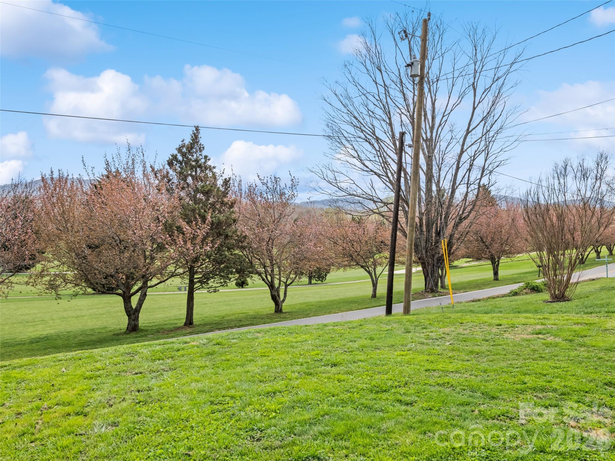 659 Golf Course Road Waynesville, NC 28786 - Photo 9 of 34 a view of yard with trees