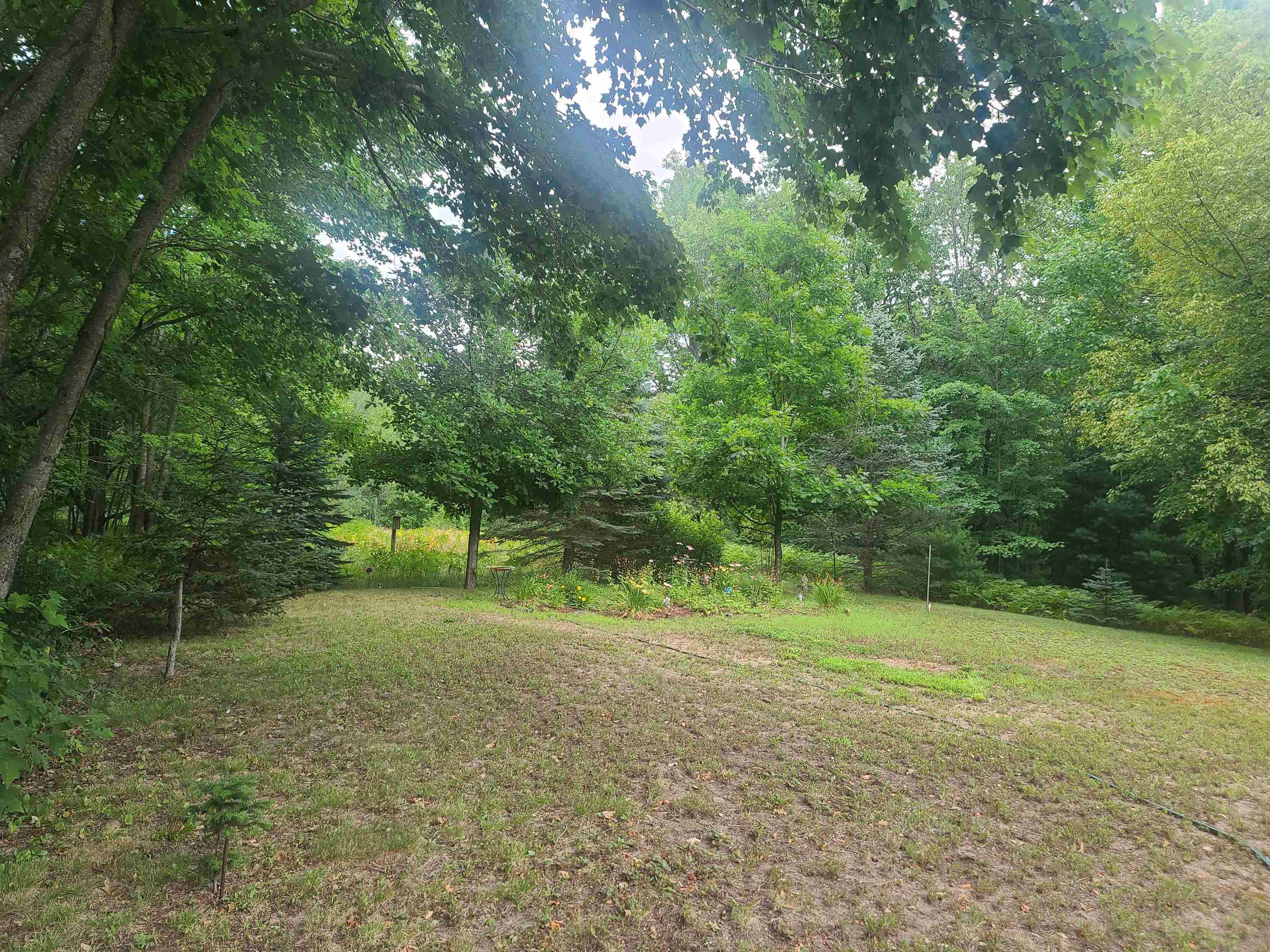 7285 Creighton Road Southwest South Boardman, MI 49680 - Photo 10 of 20 1903944-9.JPG