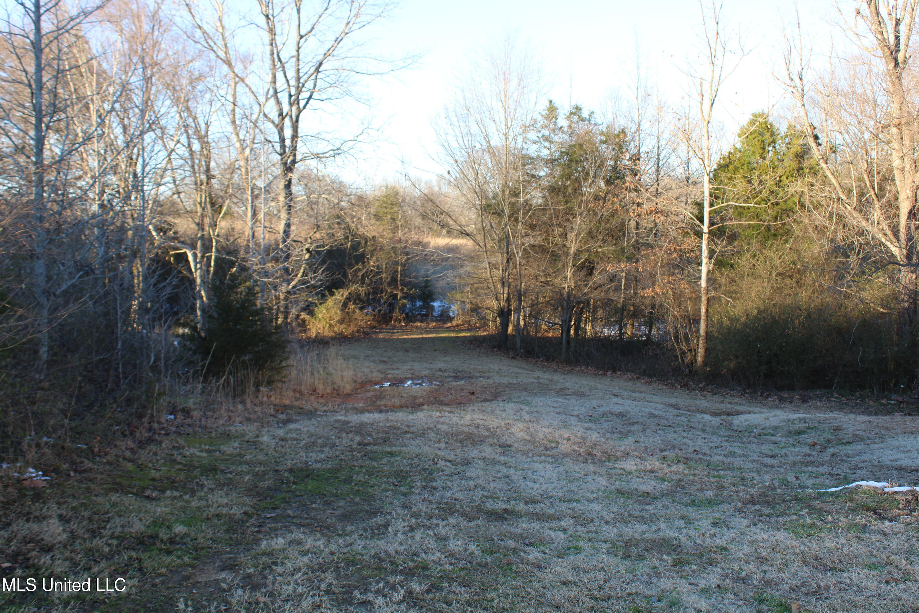 814 Watson Road Byhalia, MS 38611 - Photo 2 of 24 IMG_5487