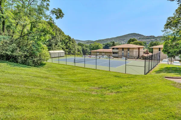 a view of a park with a tree in the background