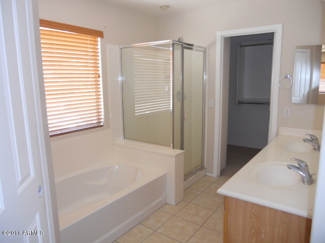 3350 East Powell Way Gilbert, AZ 85298 - Photo 14 of 25 Master bath