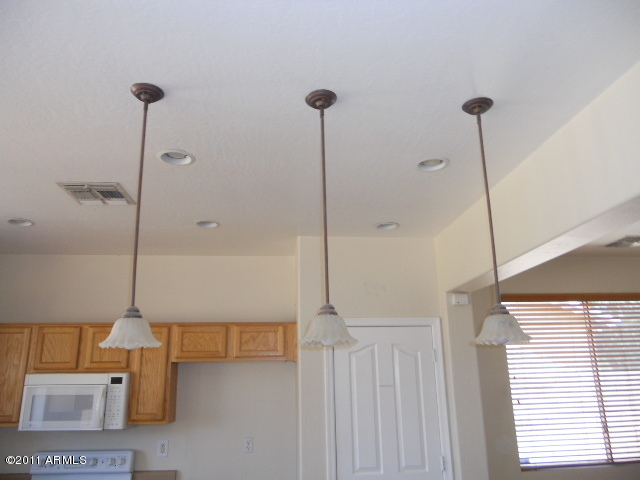 3350 East Powell Way Gilbert, AZ 85298 - Photo 19 of 25 Lighting