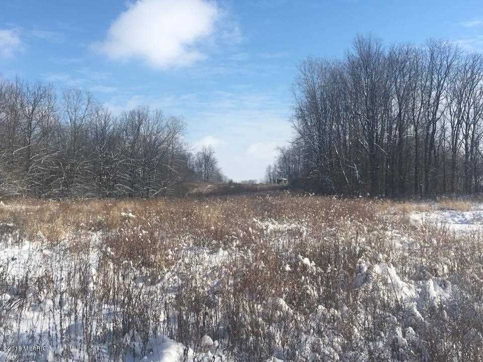 V/l Moore Road Tekonsha, MI 49082 - Photo 4 of 12