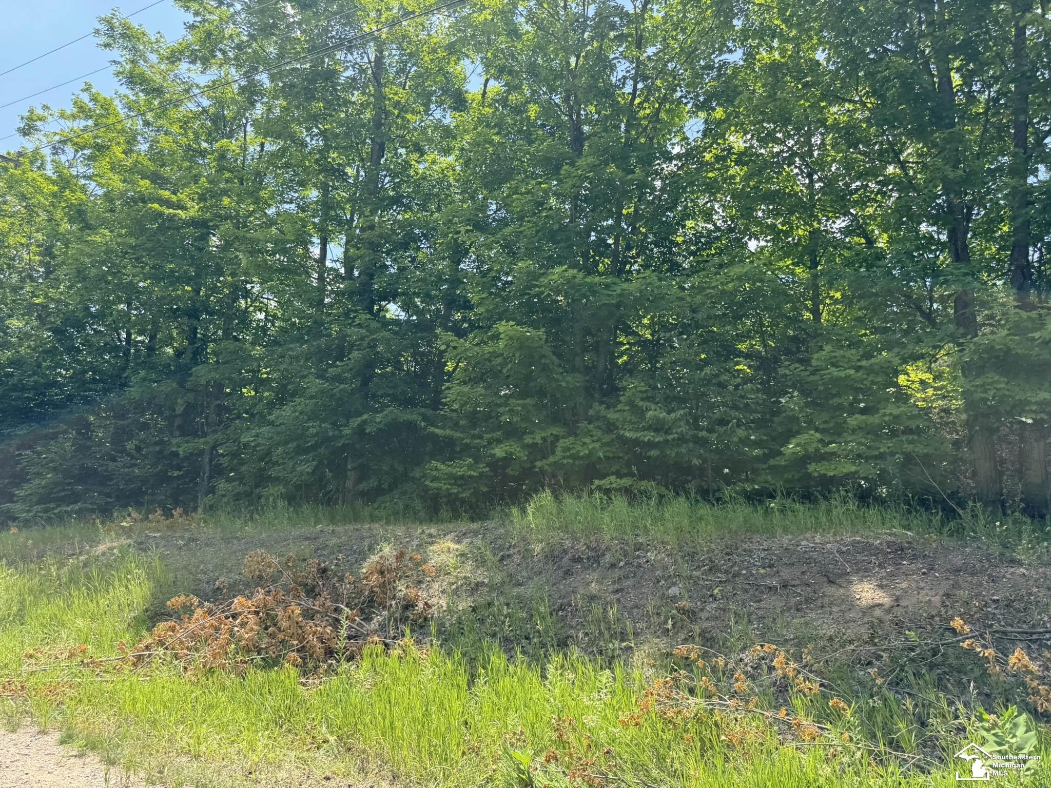 0 Hayes Tower Road Gaylord, MI 49735 - Photo 7 of 14