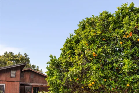 $2,195,000 | 5534 Calle Ocho, Carpinteria, CA 93013