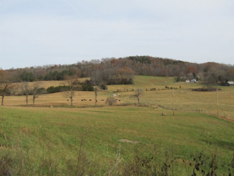 10 Walker Cove Road Sparta, TN 38583 - Photo 1 of 16 Gallery Image 1