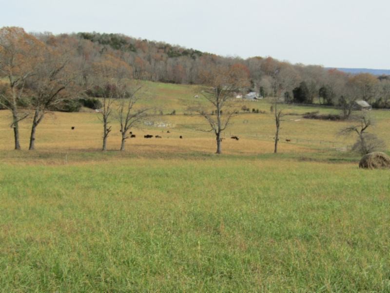 10 Walker Cove Road Sparta, TN 38583 - Photo 13 of 16 Gallery Image 13