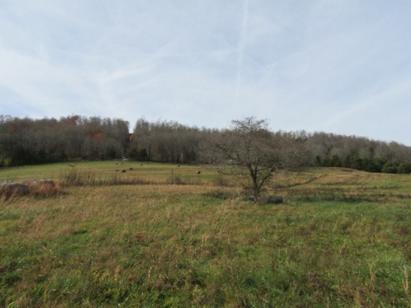 10 Walker Cove Road Sparta, TN 38583 - Photo 7 of 16 Gallery Image 7