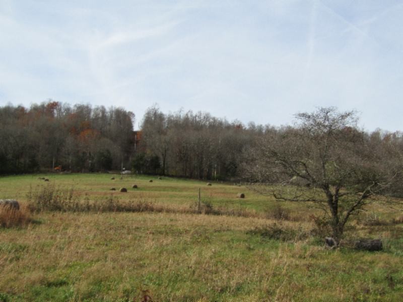 10 Walker Cove Road Sparta, TN 38583 - Photo 8 of 16 Gallery Image 8