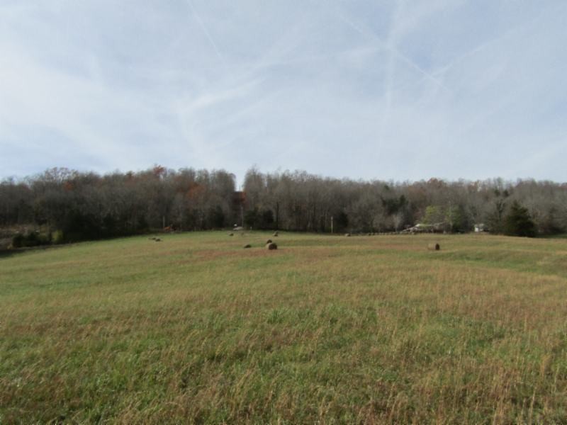 10 Walker Cove Road Sparta, TN 38583 - Photo 9 of 16 Gallery Image 9