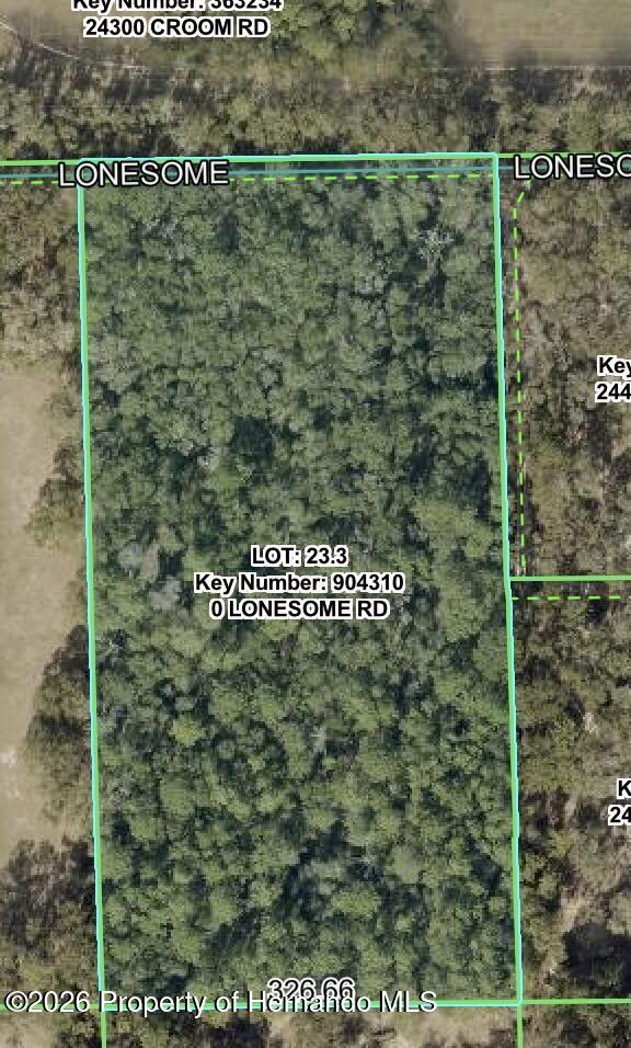 0 Lonesome Road Brooksville, FL 34601 - Photo 2 of 11 Gallery Image 2