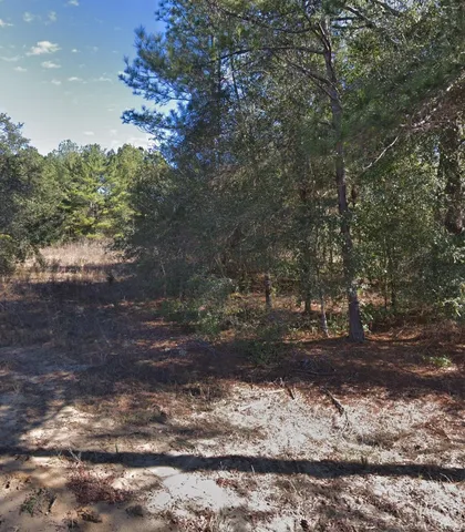 a view of a yard with a tree