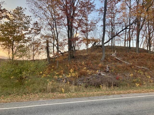 6376 Lakeshore Road Manistee, MI 49660 - Photo 8 of 9 IMG_1929
