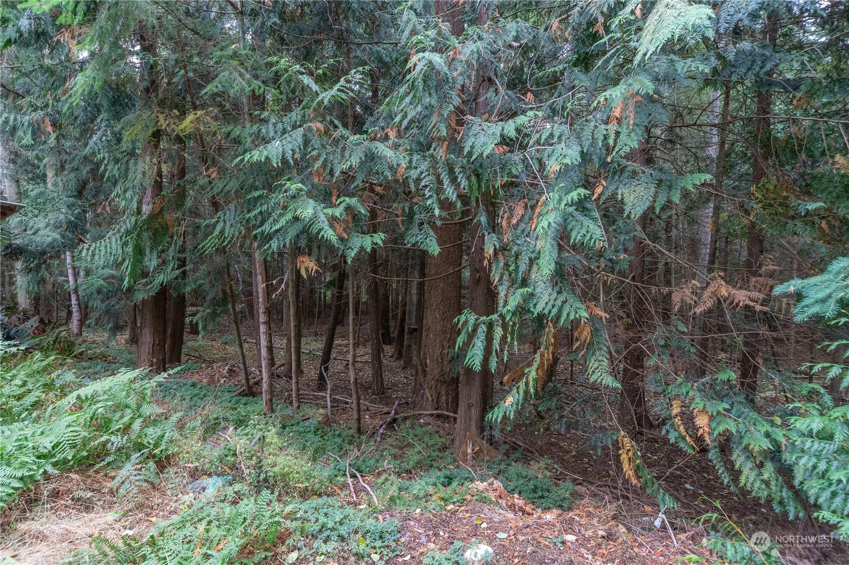 240 Flamingo Road Port Townsend, WA 98368 - Photo 23 of 25 Gallery Image 23
