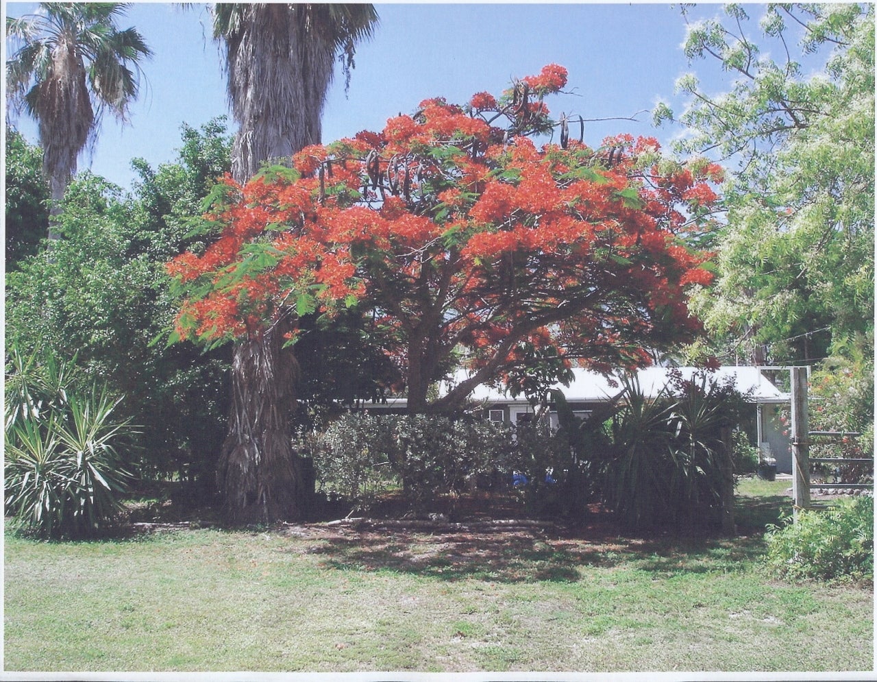 30420 Racoon Run Big Pine Key, FL 33043 - Photo 15 of 15 Gallery Image 15