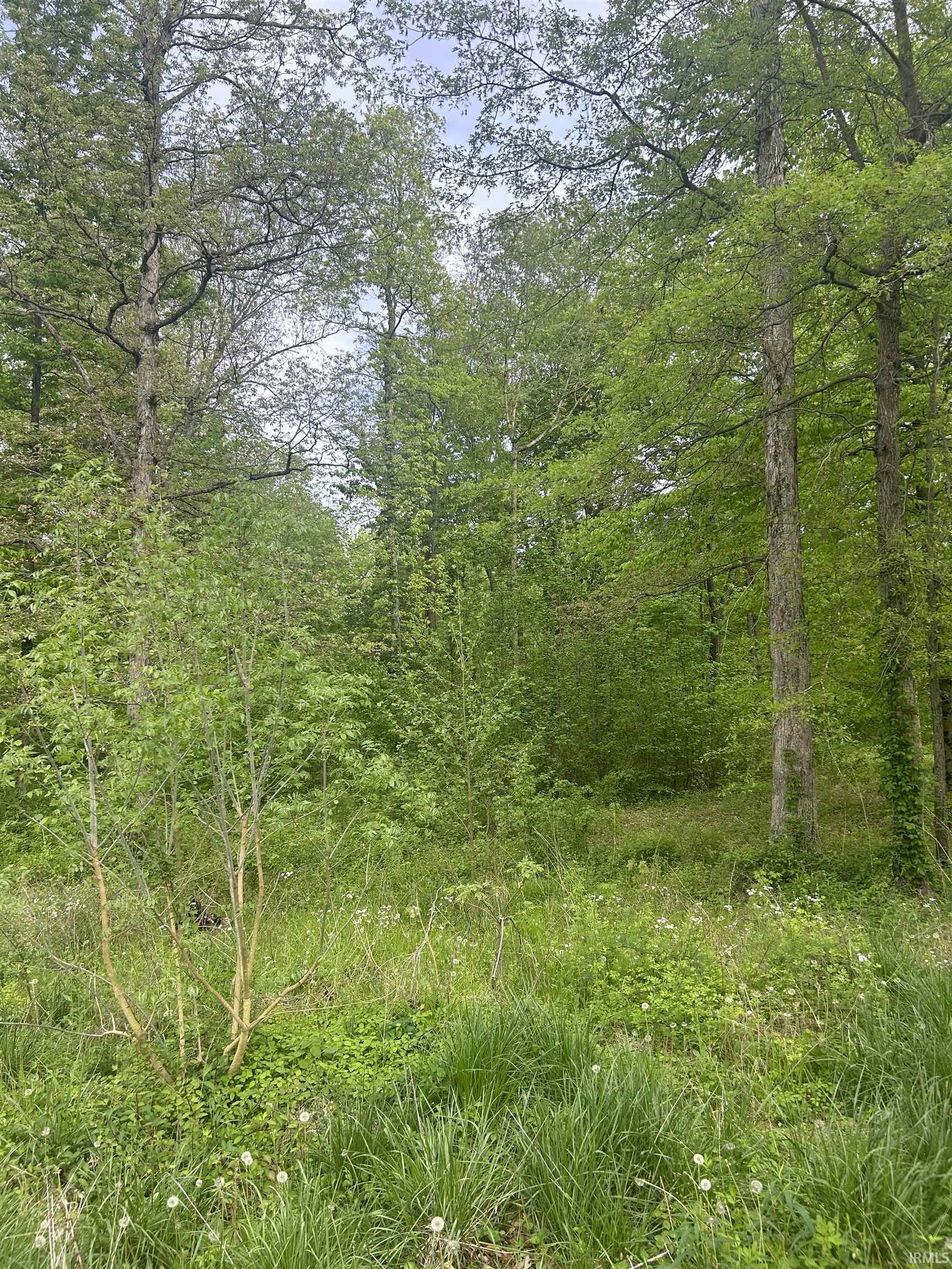 0 Cameron Austin, IN 47102 - Photo 7 of 9 Gallery Image 7