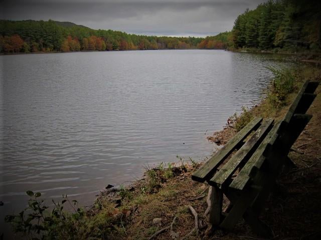 88 Whipperwill Hill Road Gap Mills, WV 24941 - Photo 67 of 68 Gallery Image 67