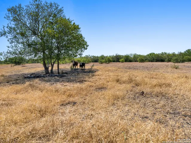 a view of a yard with an ocean view
