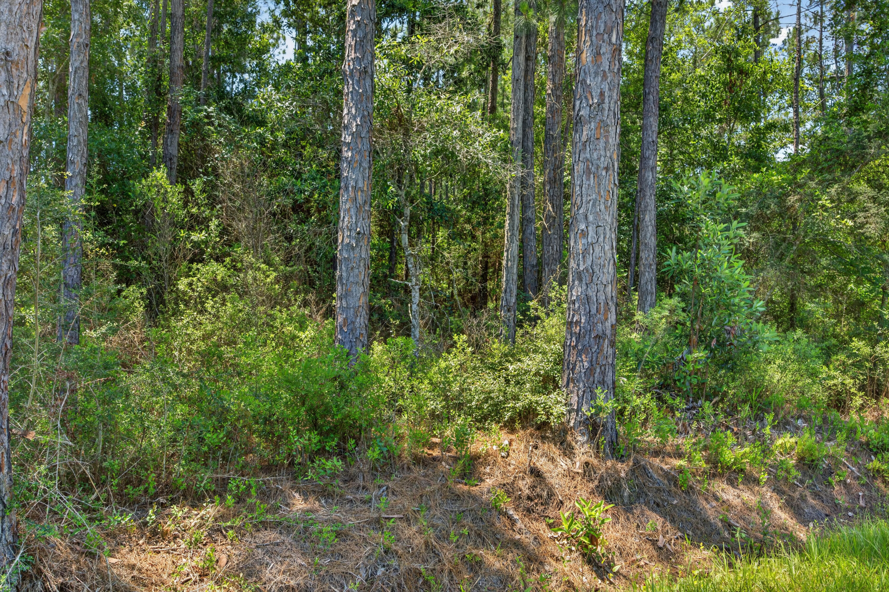 1.19-acres Mary Kitchens Road Milton, FL 32583 - Photo 9 of 10 Lot 6 MK 10