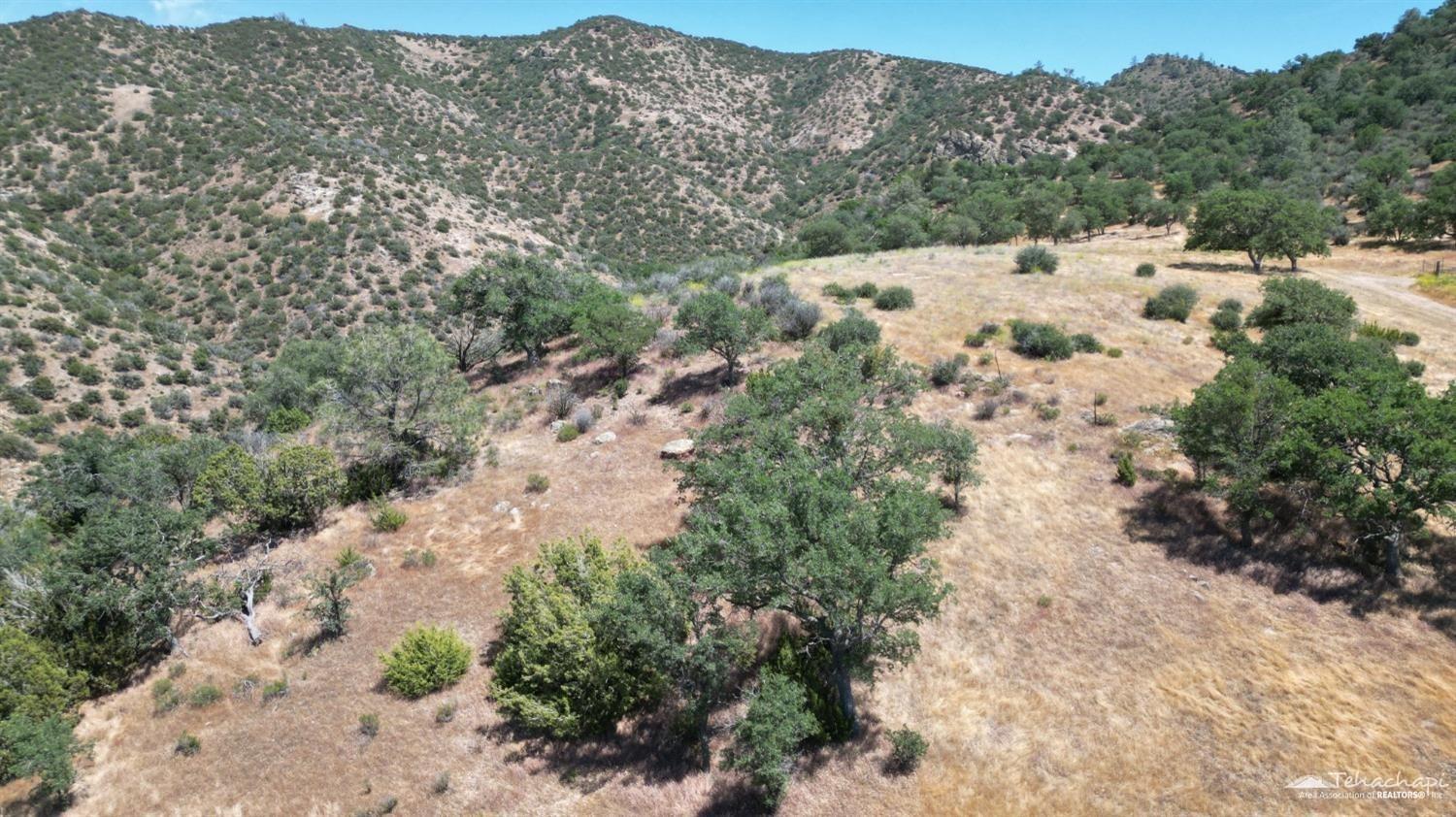 0 Hill Top Road Caliente, CA 93518 - Photo 5 of 11 Gallery Image 5