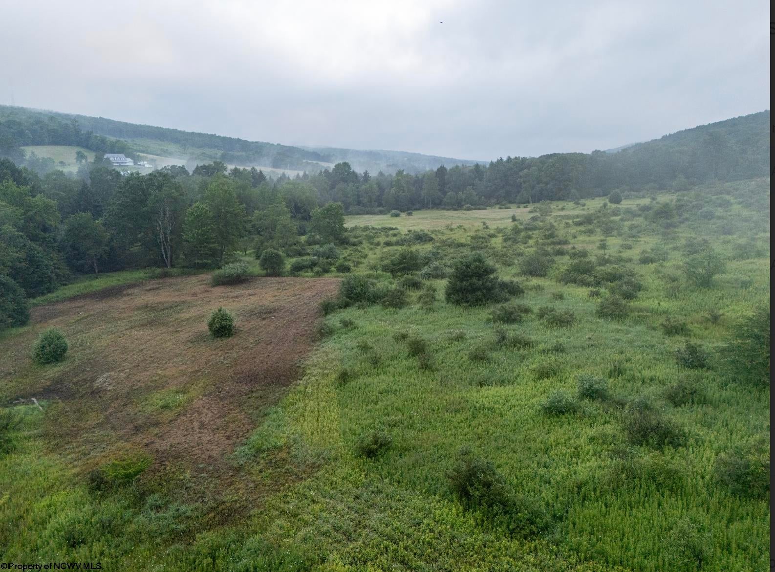 Tbd Freeport Road Terra Alta, WV 26764 - Photo 10 of 22 Gallery Image 10